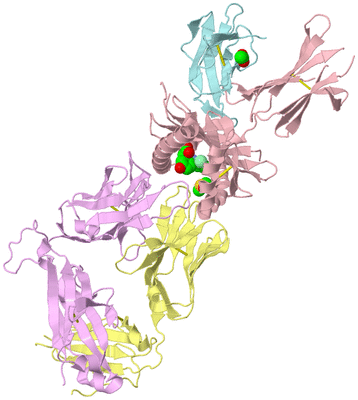 Image Biological Unit 2