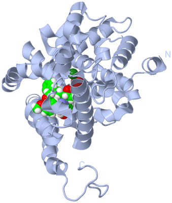 Image Biological Unit 1