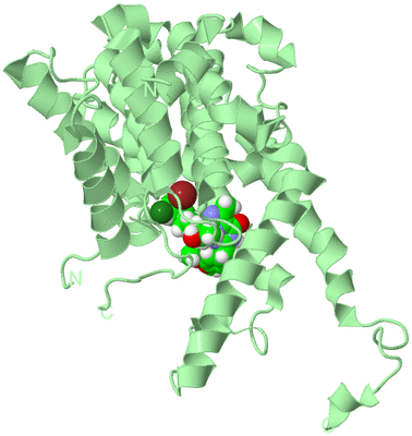 Image Biological Unit 2