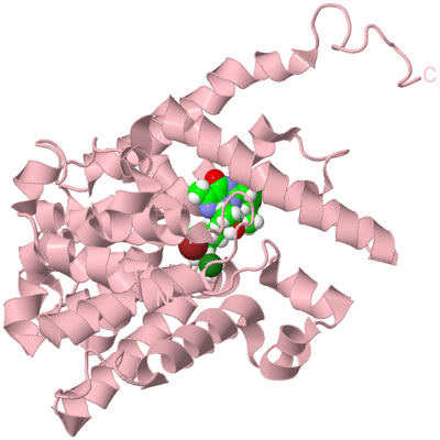 Image Biological Unit 3