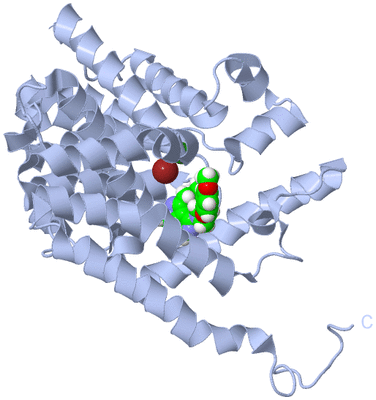 Image Biological Unit 1