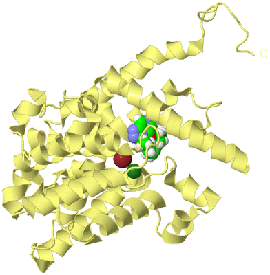 Image Biological Unit 4