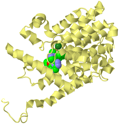 Image Biological Unit 4