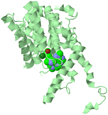 Image Biological Unit 2