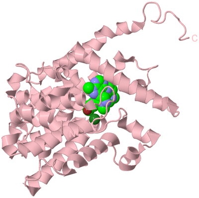 Image Biological Unit 3