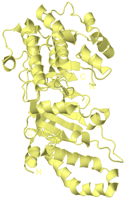 Image Biological Unit 4