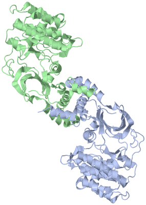 Image Biological Unit 5