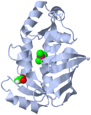 Image Biological Unit 1