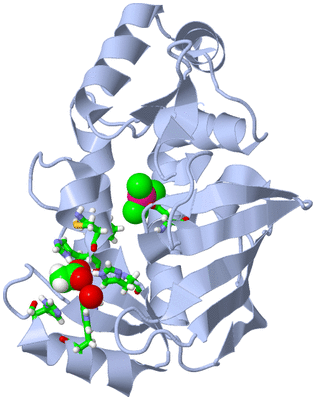 Image Biol. Unit 1 - sites