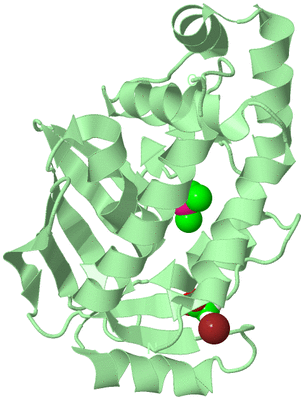 Image Biological Unit 2