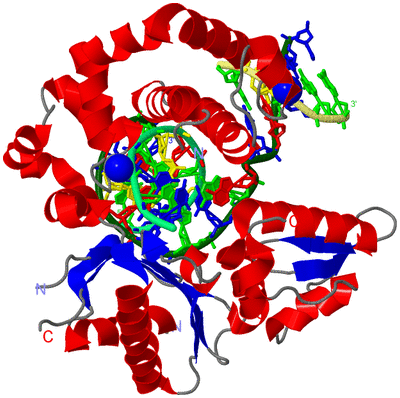 Image Asym./Biol. Unit