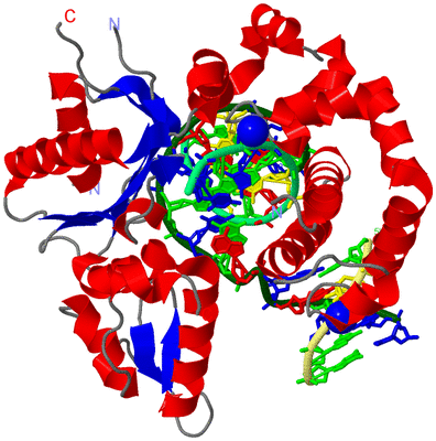 Image Asym./Biol. Unit