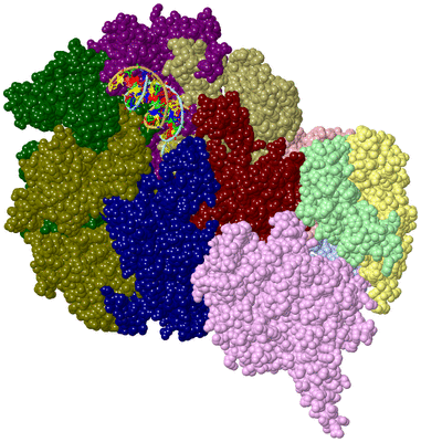 Image Asym./Biol. Unit - sites