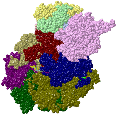 Image Asym./Biol. Unit - sites