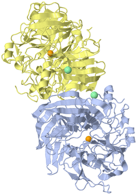 Image Biological Unit 1