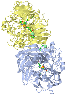 Image Biol. Unit 1 - sites