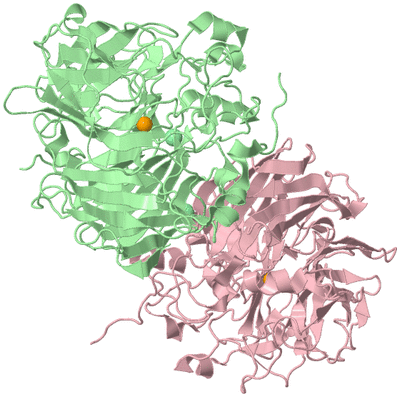 Image Biological Unit 2