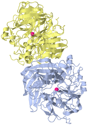 Image Biological Unit 1