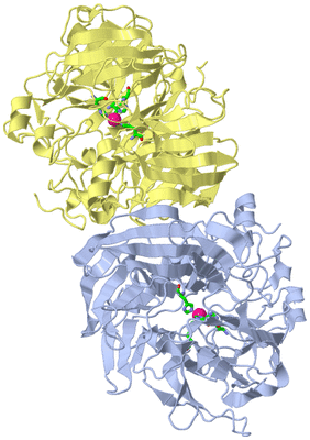 Image Biol. Unit 1 - sites