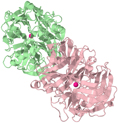 Image Biological Unit 2