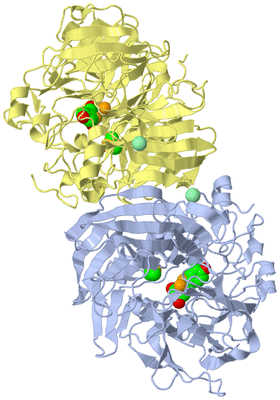 Image Biological Unit 1