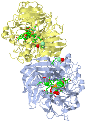 Image Biol. Unit 1 - sites