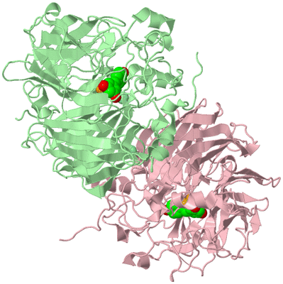 Image Biological Unit 2