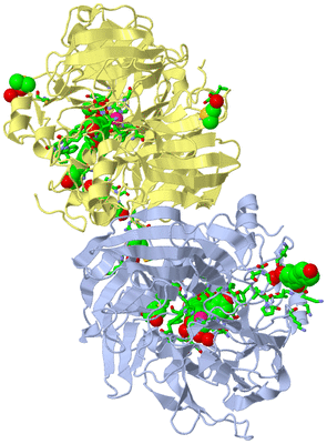 Image Biol. Unit 1 - sites