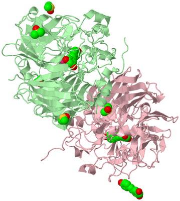 Image Biological Unit 2