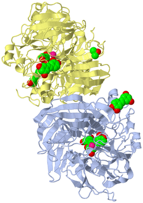 Image Biological Unit 1