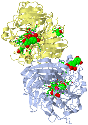 Image Biol. Unit 1 - sites