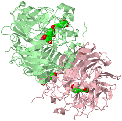 Image Biological Unit 2