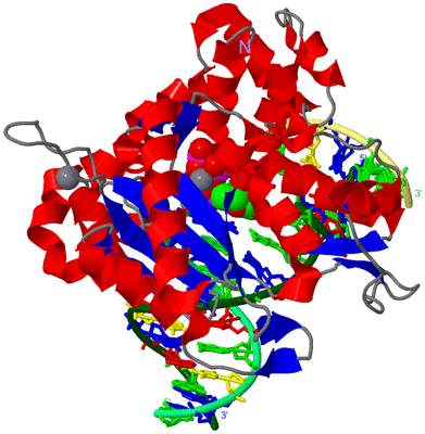 Image Asym./Biol. Unit