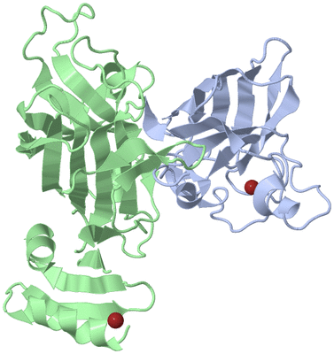 Image Biological Unit 1