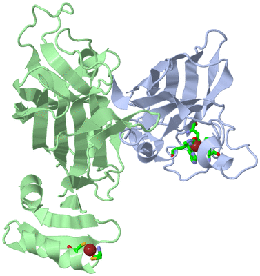 Image Biol. Unit 1 - sites