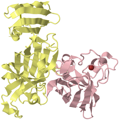 Image Biological Unit 2