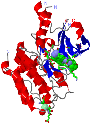 Image Asym./Biol. Unit - sites