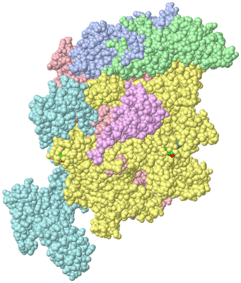 Image Biol. Unit 1 - sites