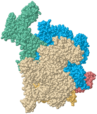 Image Biological Unit 2