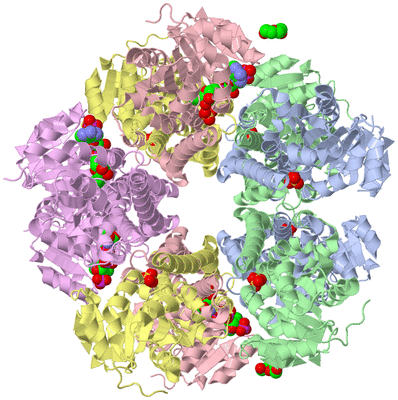 Image Biological Unit 1