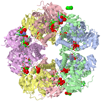 Image Biol. Unit 1 - sites