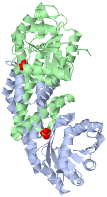 Image Biological Unit 2