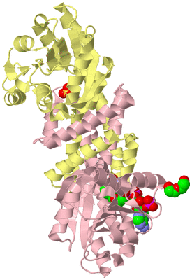 Image Biological Unit 3