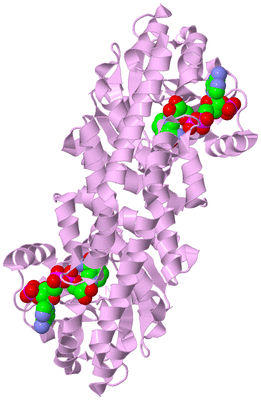 Image Biological Unit 4