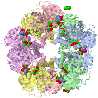 Image Biological Unit 1