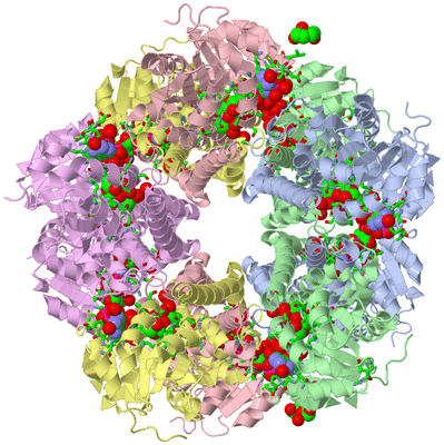 Image Biol. Unit 1 - sites