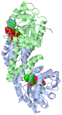 Image Biological Unit 2