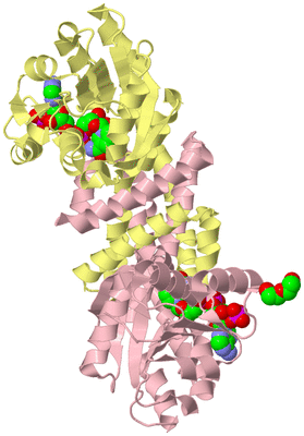 Image Biological Unit 3