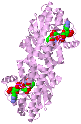 Image Biological Unit 4