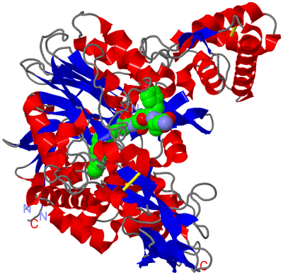 Image Asym./Biol. Unit